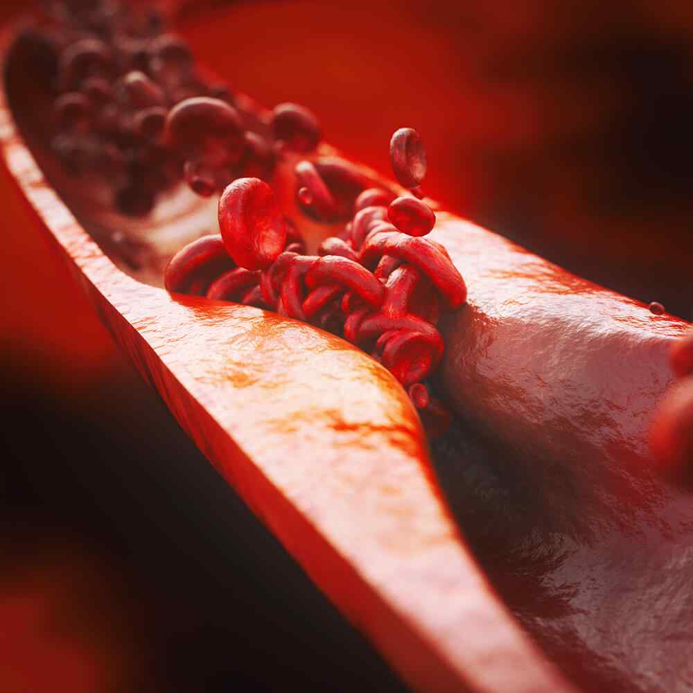 https://max.erwinmagbero.com/wp-content/uploads/2021/08/inner_image_01-1.jpg