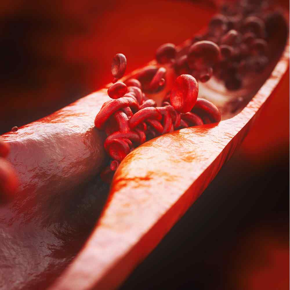 https://max.erwinmagbero.com/wp-content/uploads/2021/08/inner_image_04-1.jpg