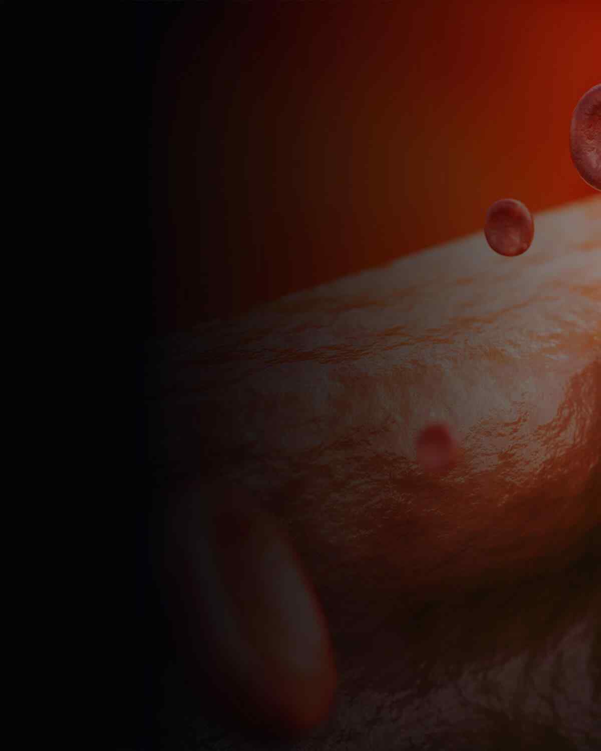 https://max.erwinmagbero.com/wp-content/uploads/2021/08/interactive_image_left-1.jpg