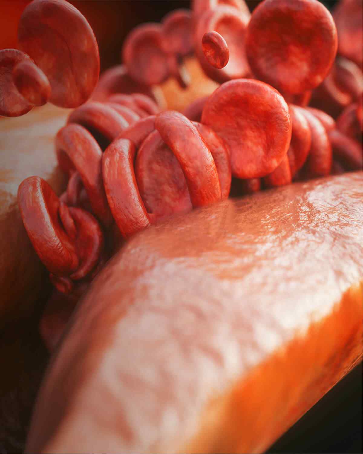 https://max.erwinmagbero.com/wp-content/uploads/2021/08/interactive_image_right-1.jpg